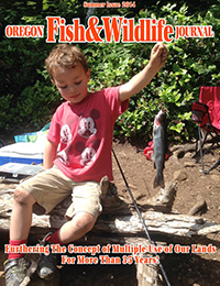 2014 Summer Journal