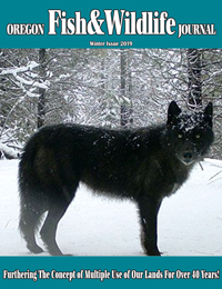 2019 Winter Journal